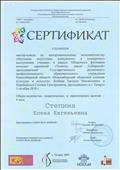 Сертификат слушателя мастер-класса по инструментальному исполнительству "Методика подготовки конкурсного и концертного выступления ученика" в рамках Областного фестиваля молодых дарований "Таланты земли Сибирской" в объёме 4 часов (03 октября 2018 г.)